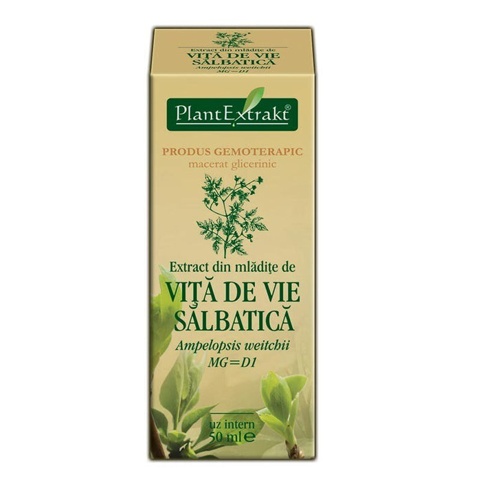 Extract gemoterapic PlantExtrakt din mlădițe de viță de vie sălbatică, 50 ml