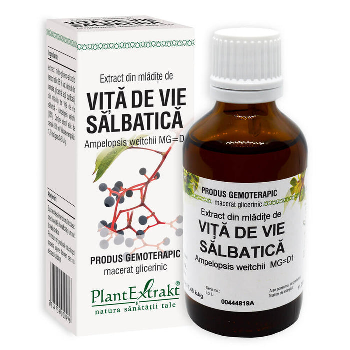 Extract gemoterapic PlantExtrakt din mlădițe de viță de vie sălbatică, 50 ml