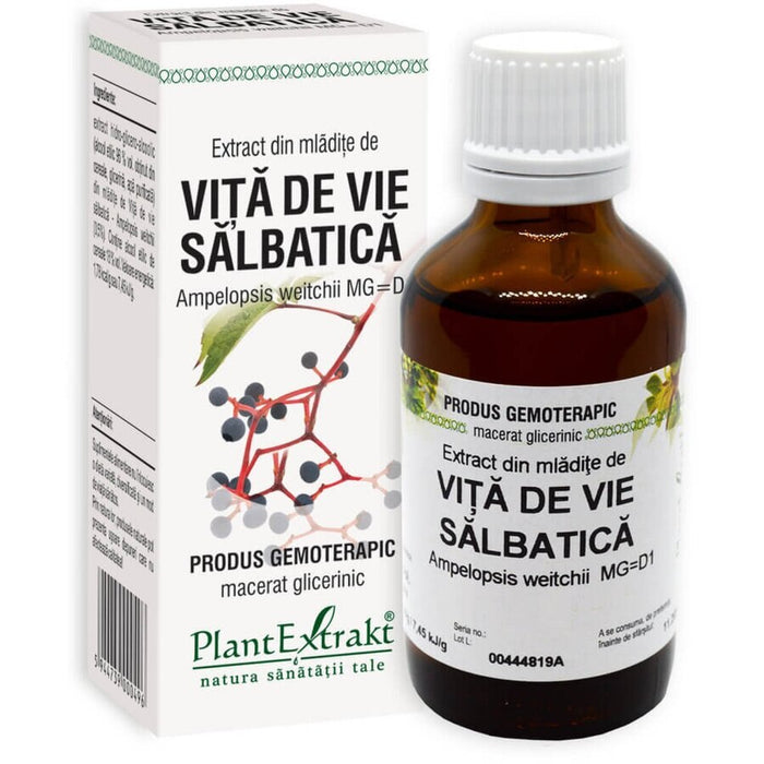 Extract gemoterapic PlantExtrakt din mlădițe de viță de vie sălbatică, 50 ml