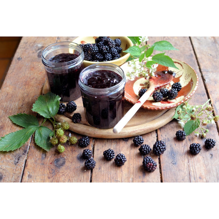 Dulceață Bun de Tot de mure, fără zahăr adăugat, 70% fruct, 360 g