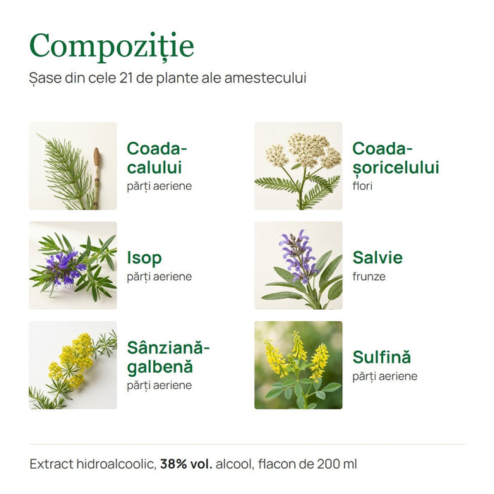 Supliment alimentar Hypericum Impex Bitter Ierburile vieții, extract hidroalcoolic din 21 de plante, 200 ml