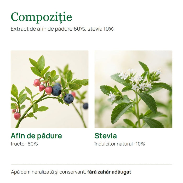 Sirop de afine Hypericum Plant, fără zahăr adăugat, 500 ml