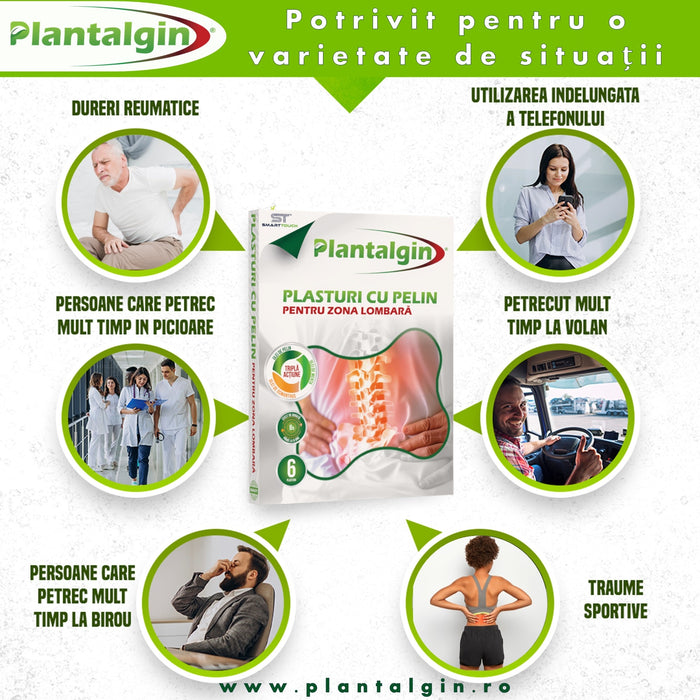 Plasturi Plantalgin cu pelin pentru zona lombară, 6 bucăți