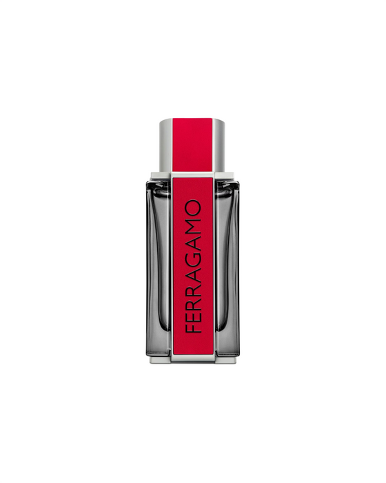 Apă de parfum Salvatore Ferragamo Red Leather, pentru bărbați, 100 ml
